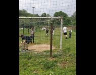Torneo-scherma-club-lame-oro-585