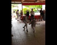 Torneo-scherma-club-lame-oro-170